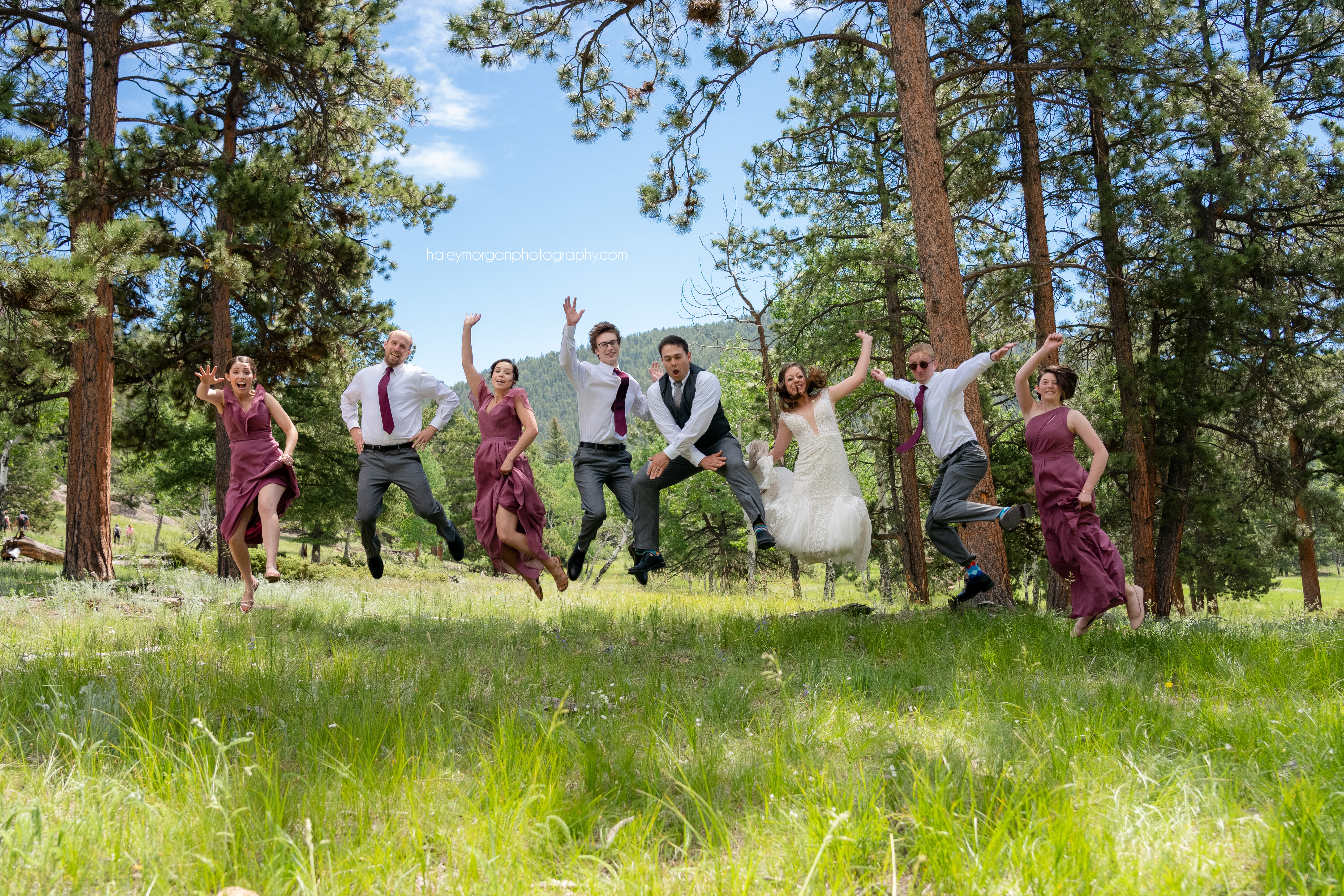 The Hudson Gardens And Events Center Wedding Photos Denver Wedding